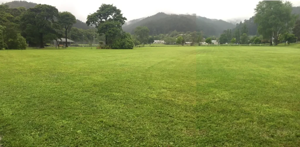 No flooding in Pinehaven Reserve at the peak of the 25-year flood on 8 December 2019.
